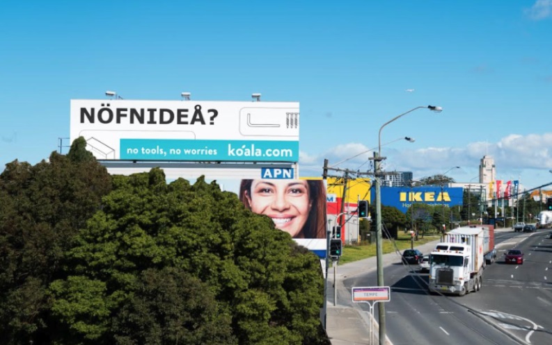 Koala billboard Sydney